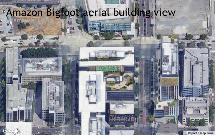 Amazon Bigfoot aerial view