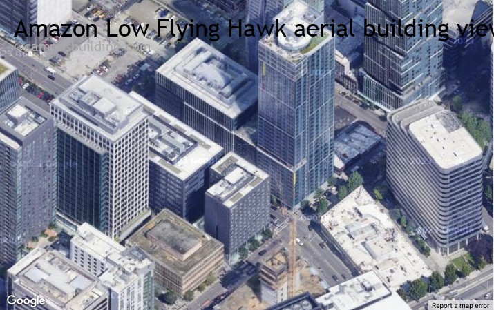 Amazon Low Flying Hawk aerial view